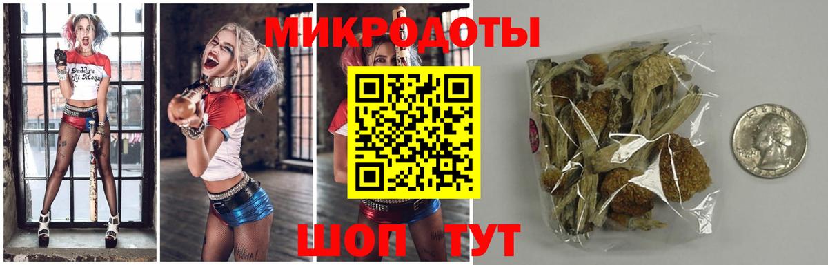 наркотики  Вход с VPN  Кингисепп  Псилоцибиновые грибы Magic Shrooms 